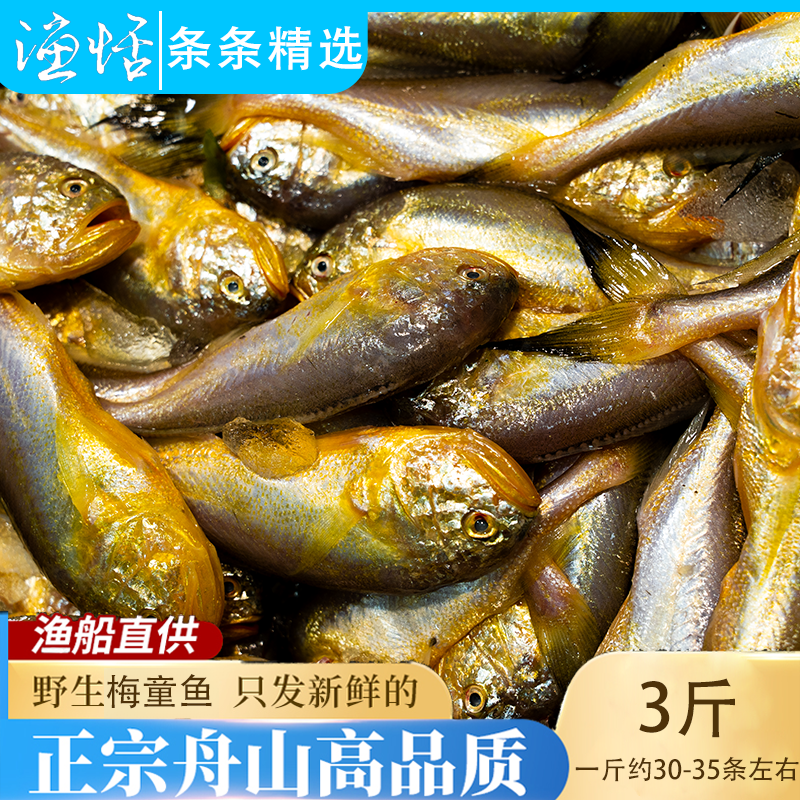无冰衣舟山梅童鱼新鲜大头宝冷冻海产捕捞黄梅丁生鲜梅子鱼小梅鱼,水产肉类/新鲜蔬果/熟食,黄鱼,淘宝优惠券,粉丝福利购,淘宝优惠卷