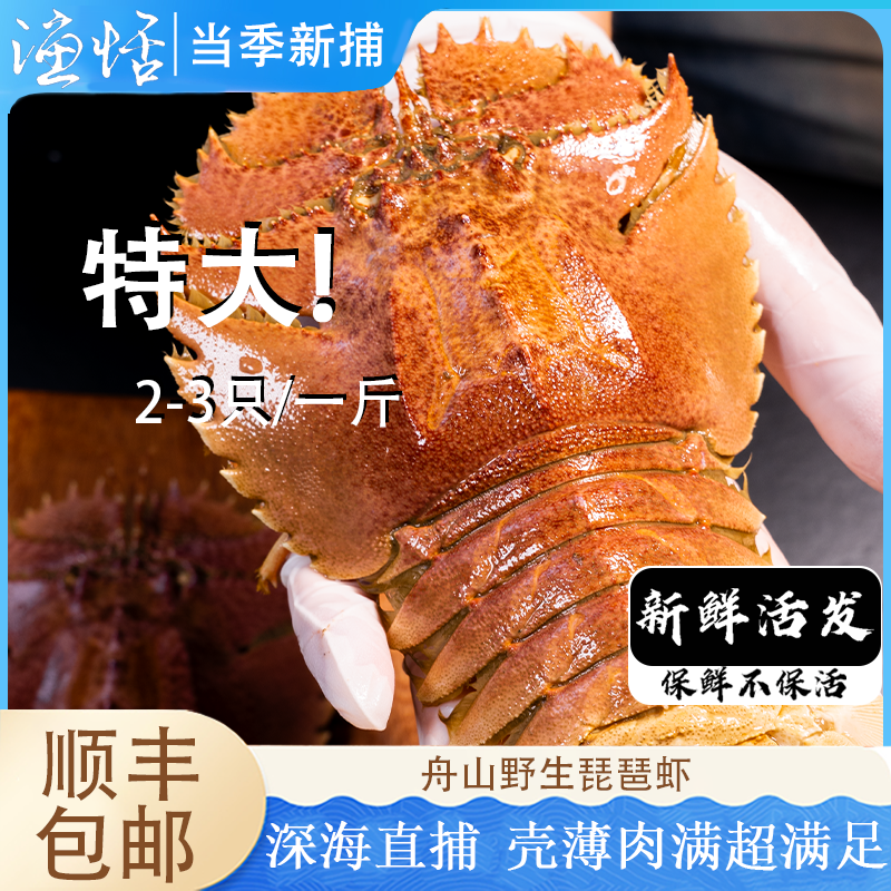 活发舟山琵琶虾东海鲜活特大新鲜鲜活活虾超大九齿扇虾包鲜不包活