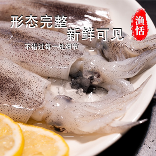 舟山海捕鲜活冷冻鱿鱼东海火箭笔管乌贼海兔尤鱼海鲜水产芝麻鱿鱼