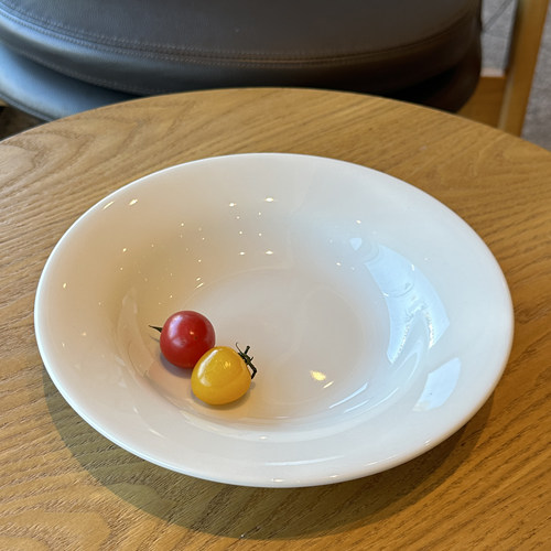 tuxton家用高颜值釉下彩陶瓷盘
