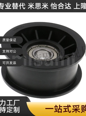 平皮带惰轮 带法兰惰轮TPBSN38-15 40-20 45-20 TPCFN38-18 40-26