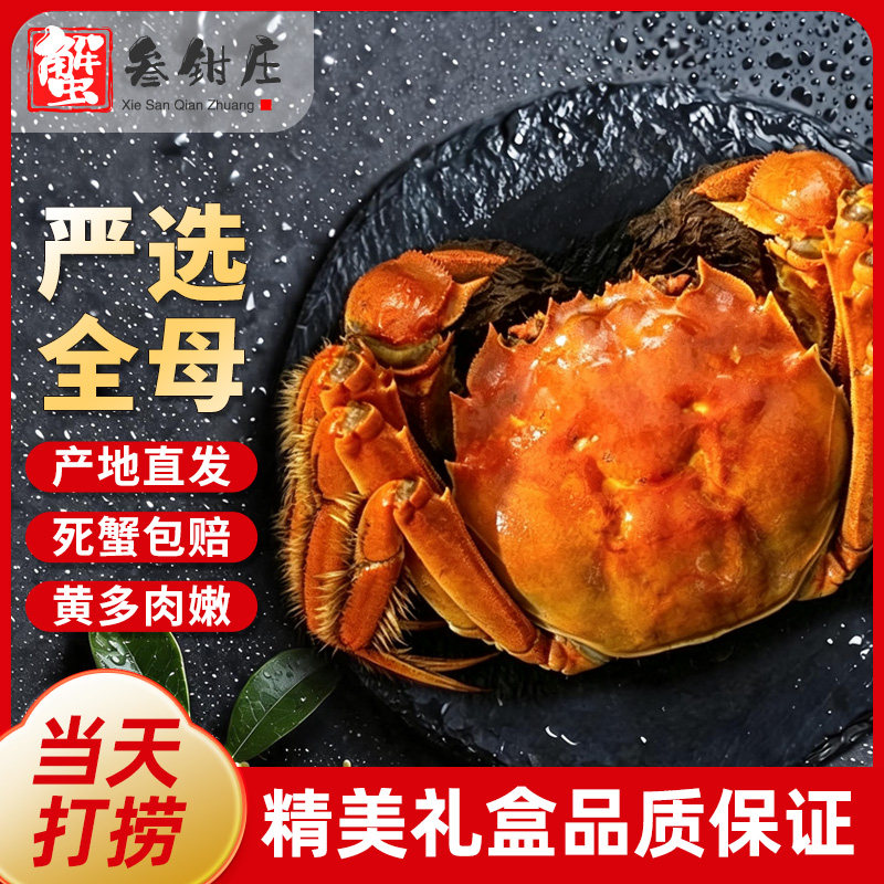 【全母蟹活蟹】螃蟹鲜活大闸蟹全母蟹河蟹现货礼盒官方旗舰店
