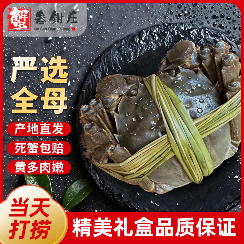【全母活蟹】鲜活全母蟹大闸蟹河蟹现货螃蟹礼盒官方旗舰店