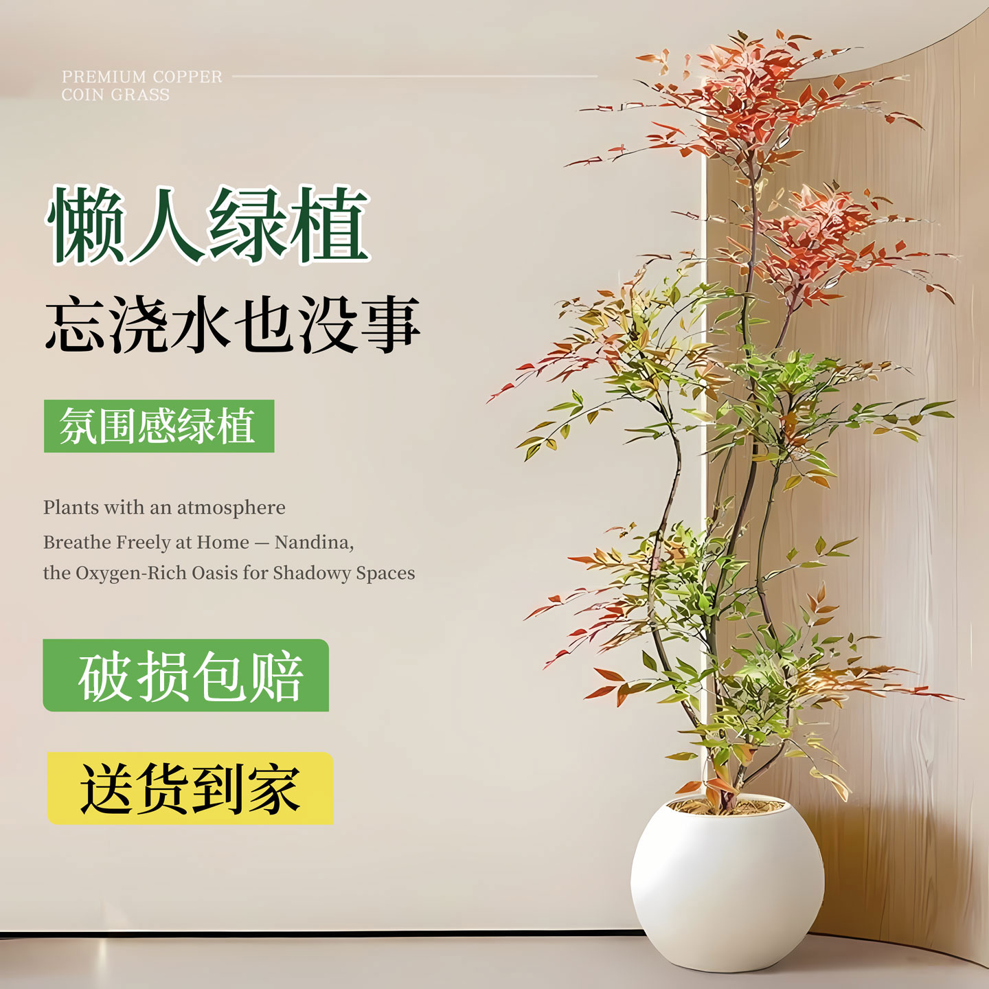 南天竹盆栽客厅真树绿植