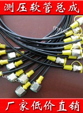 高压测压软管TEST HOSE DN=3 W.P 630BAR B.P 1600BAR 压力表线