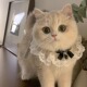 可爱公主风猫咪狗狗宠物项圈口水巾围脖围兜衣服围巾围嘴宠物兜