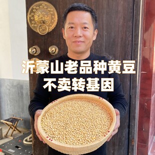 沂蒙24年新黄豆老品种豆浆农家种植本黄豆黑脐非转基因豆腐豆芽