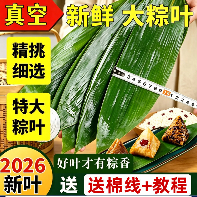 正宗农家新鲜粽子叶大号包粽子专用野生真空锁鲜端午节批发旗舰店
