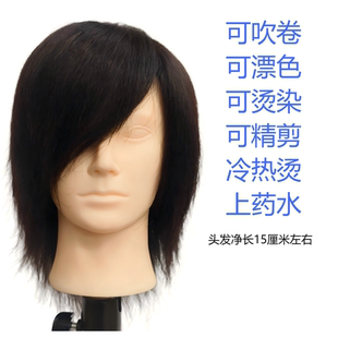 特价男士真发头模学徒可烫染剪发卷杠漂染