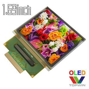 1.69英寸oled液晶显示屏彩色6028GDEBF02拓微小尺寸topwin高亮