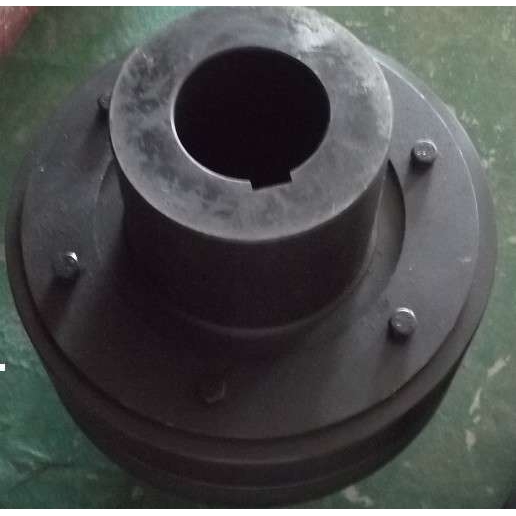 抱紧式HL-D30梅花型联轴器