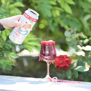 大九无序/热带共和/劝酒果子/西柚世界/就酱/流体果泥/降临 啤酒