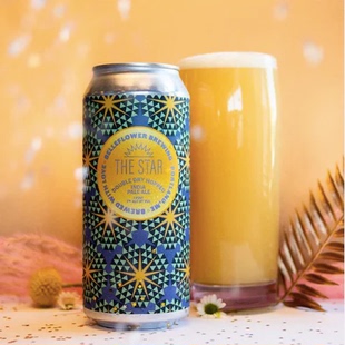 惠同学 精酿啤酒 风铃草海滩之花星星双重芬奇湖畔避难所银河斯克