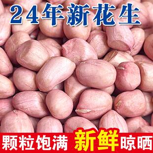 2025年新鲜花生米新货白沙生花生米大颗粒农家自种散装去壳花生仁
