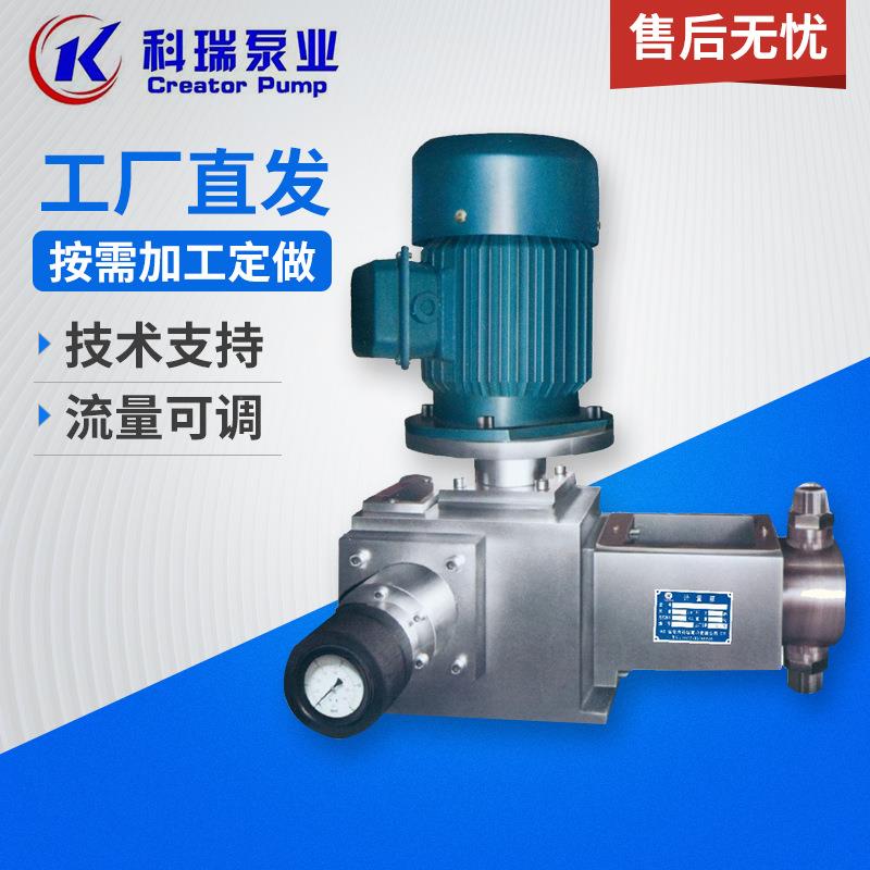 J-X2柱塞式计量泵高压泵隔膜计量泵加药精密柱塞式计量泵