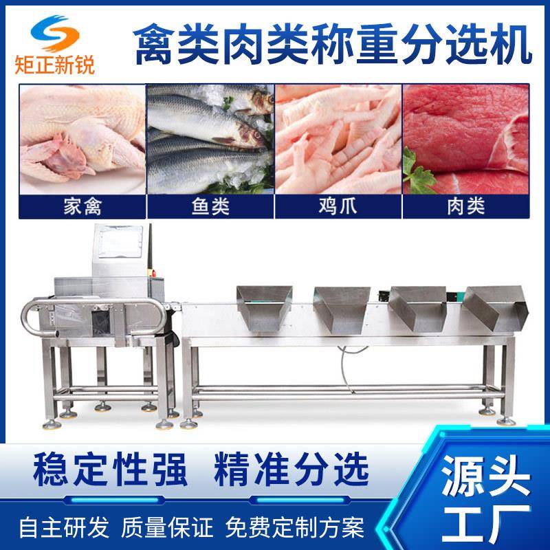 冷冻鸡鸭肉类重量分选机鸡脚鸡腿自动检重选别机海鲜水产筛选秤