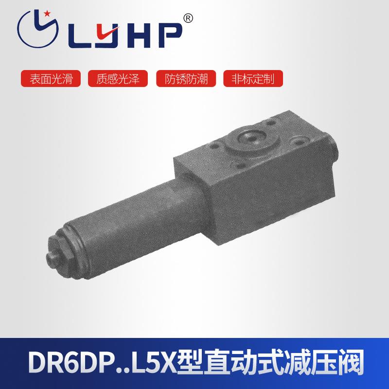 隆源供应DR5DP...10型直动式减压阀量大从优不锈钢柱塞式阀体