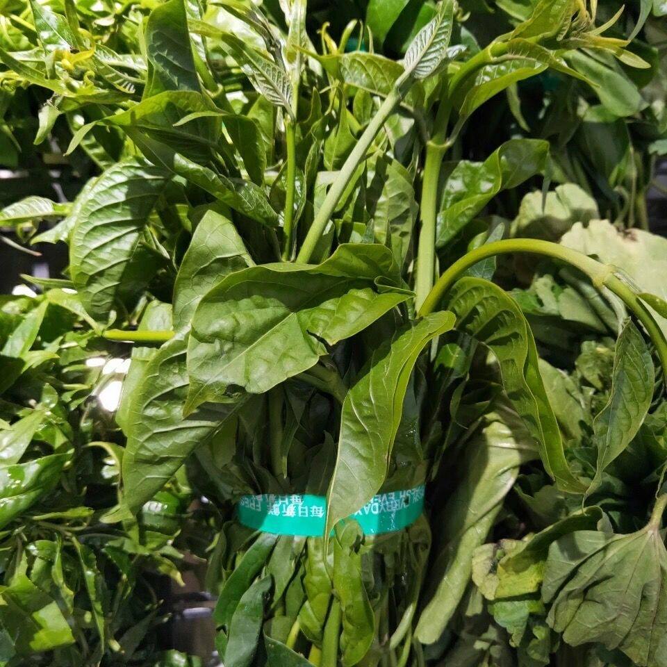 云南德宏傣味特色菜帕克秀新鲜野菜煮鸡蛋汤杂菜汤泡沫箱装发货