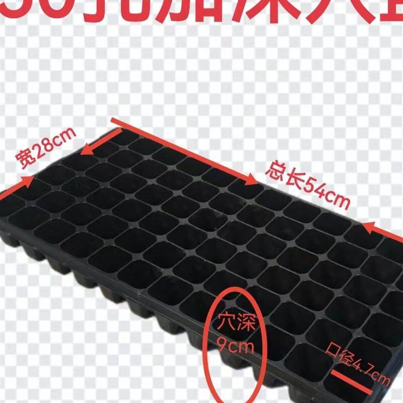 草莓专用24孔高脚新塑料料加厚耐用大号滴管槽育苗盘营养钵托盘