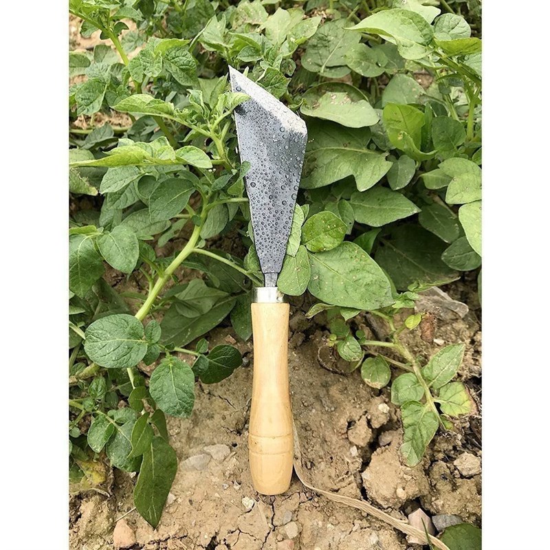 铲子挖荠菜铲刀挑草刀绿化工具除草刀园艺工具斜口刀铲草刀