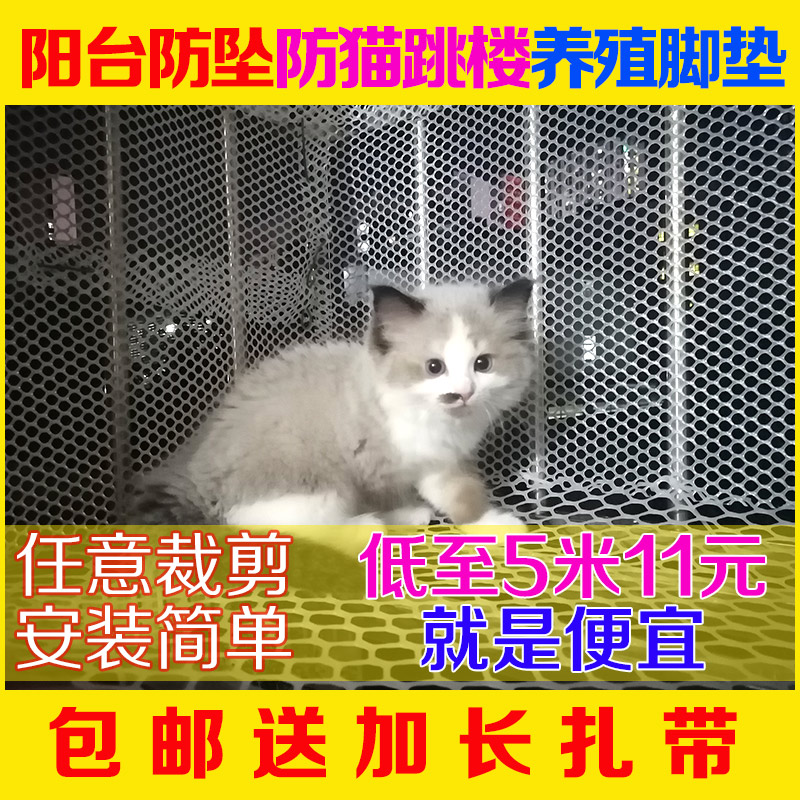 阳台防护网小孔塑料网防盗网垫板塑料网格封窗神器围栏网猫跳防掉
