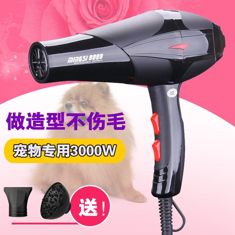 宠物吹风机狗狗专用大功率吹水机3000W泰迪猫咪快速吹干拉毛专用