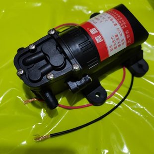 抽水泵 直流12V 雨露DP521水泵 隔膜泵 小水泵