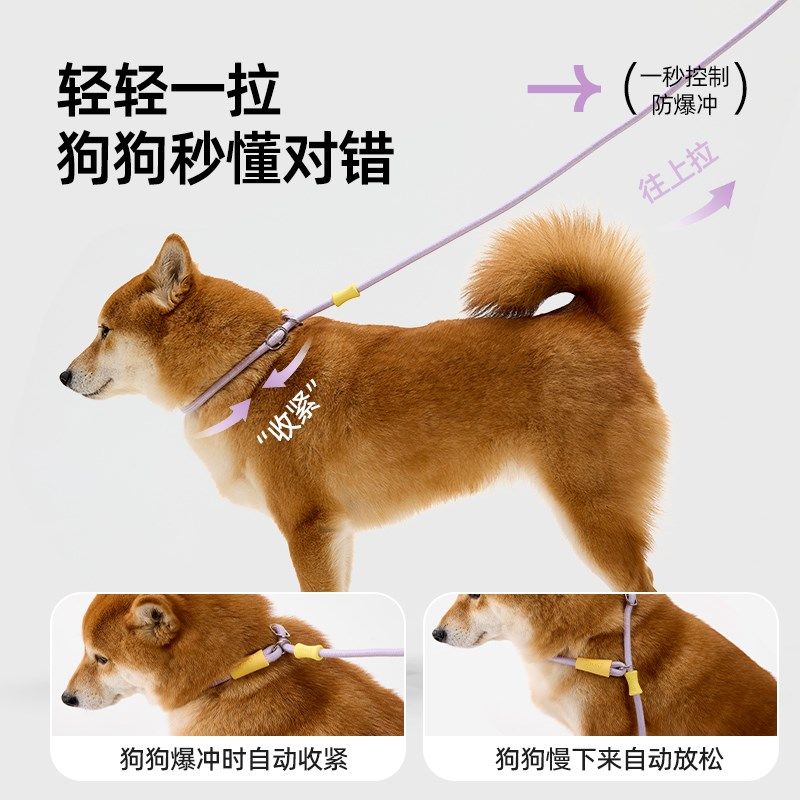狗狗牵引绳防爆冲狗绳中大型犬遛狗牵引绳狗链牵狗绳P绳P链遛狗绳