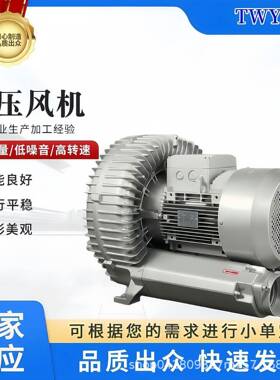 RB-91D-18.5KW高压漩涡风机电压220V415V高压旋涡风机高压气泵