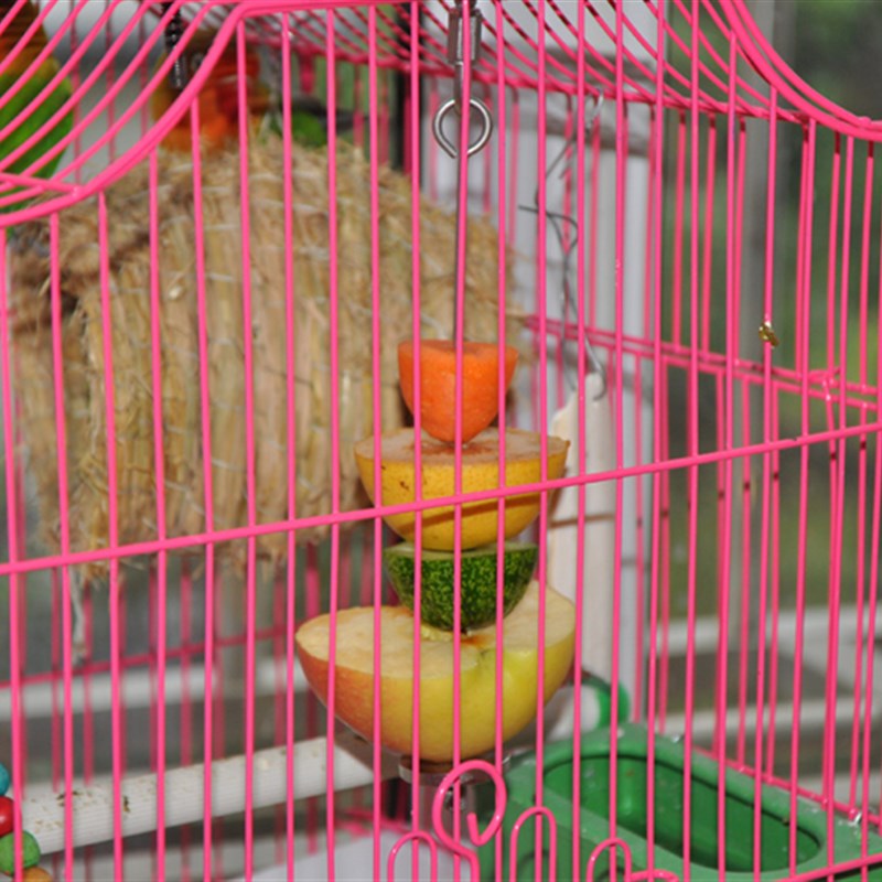 中大型鹦鹉用品鸟笼不锈钢水果叉水果挂钩鹦鹉站架水果叉鹦鹉玩具