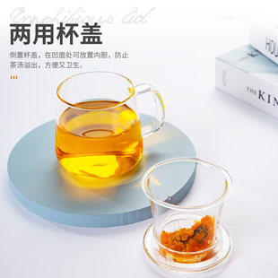 茶杯玻璃杯家用水杯网红透明花茶过滤带盖带把茶水分离泡茶杯女
