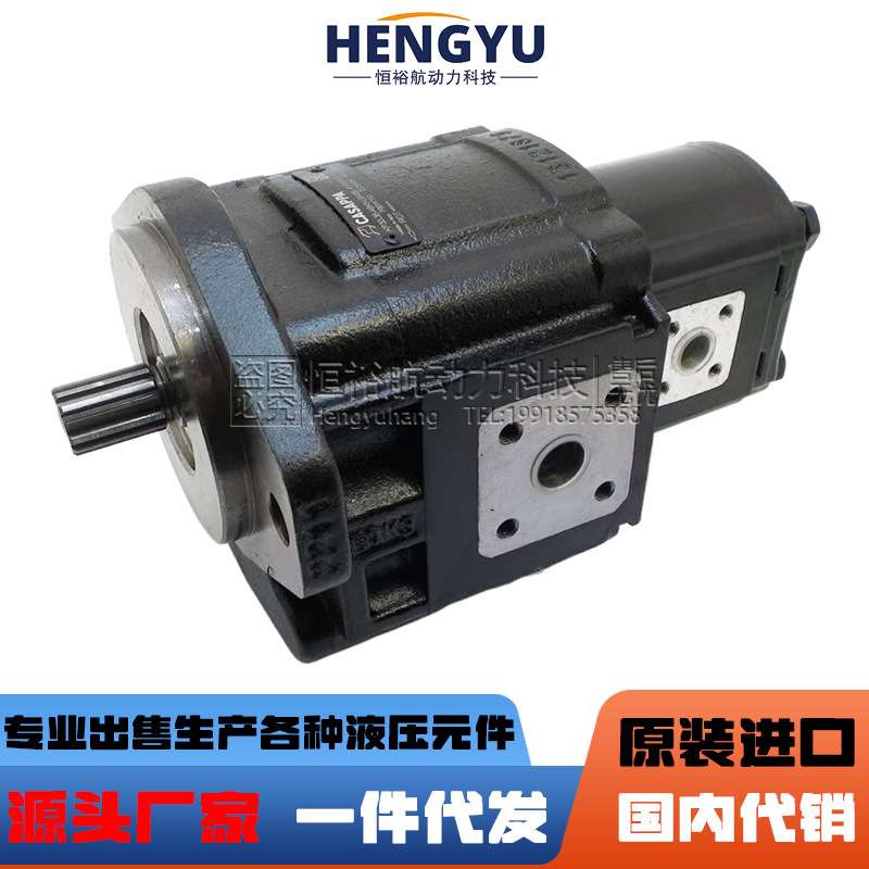 凯斯帕CASAPPA齿轮泵KP30.24-33S3-LMDMB-45-HSC/PLP20液压油泵