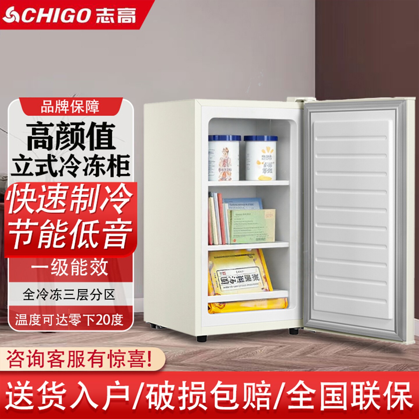 志高立式冷柜侧开门全冷冻柜