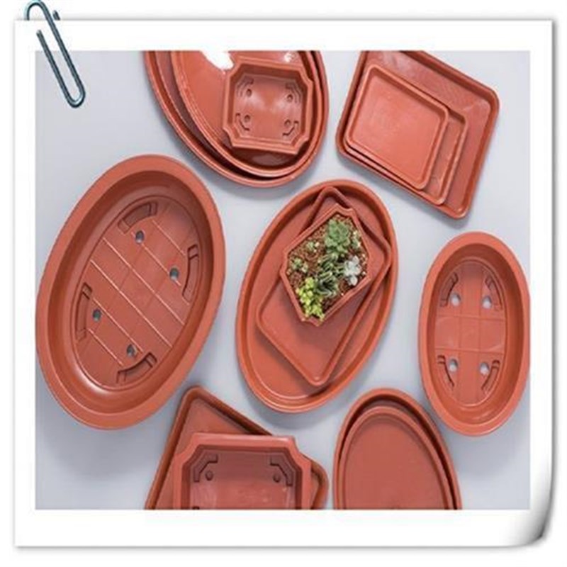 大口浅底花盆浅口宽口大多肉大号种肉肉的花盆矮扁塑料低托盘超大