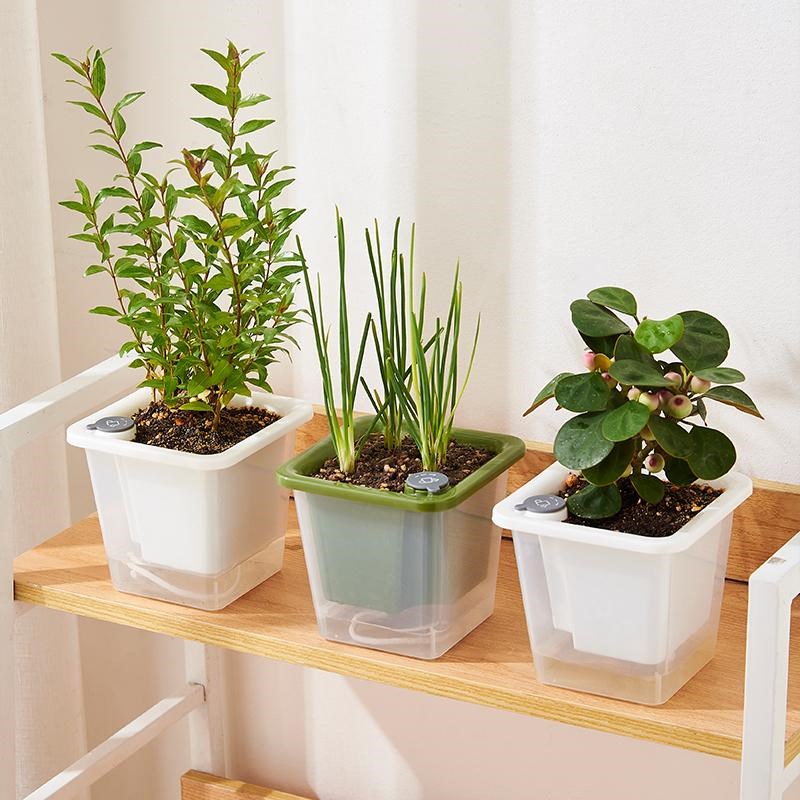 正方形迷你花盆阳台种菜盆草莓盆蔬菜种植专用箱窗台办公桌懒人盆