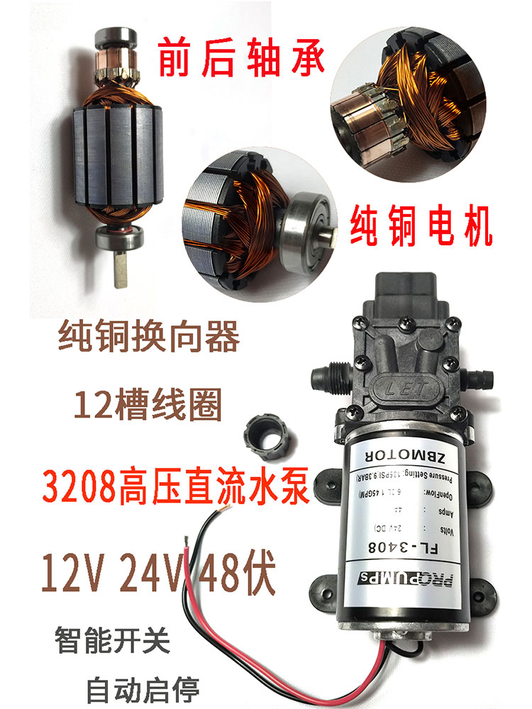 12V/24V/48V高压自吸水泵