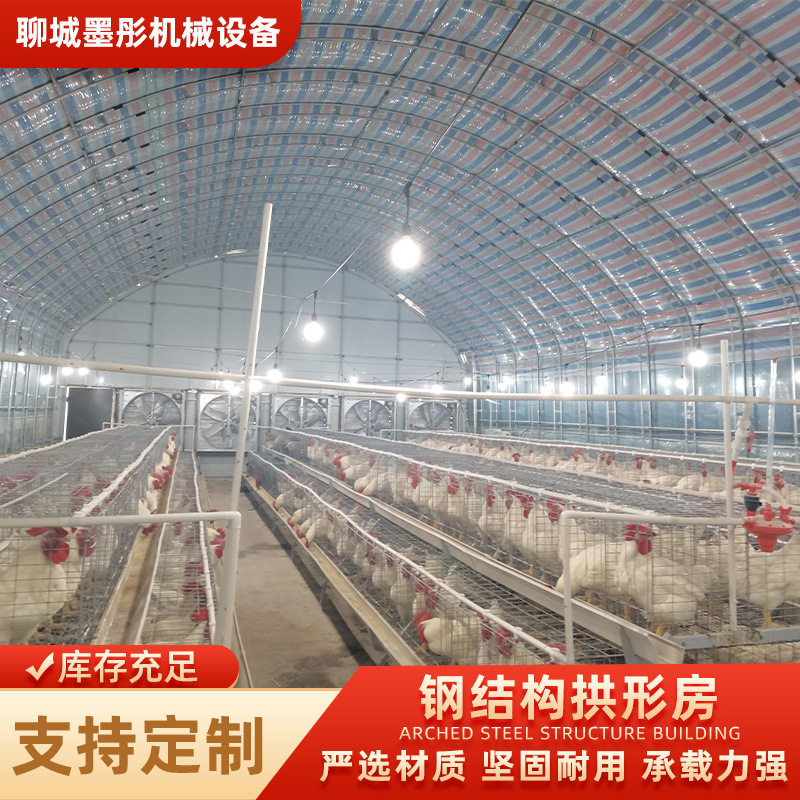 大型钢结构拱形房育雏笼加厚镀锌管鸡舍鸭棚自动化养殖设备保温防