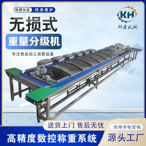 科宏机械无损式重量分选机 菠萝榴莲智能分拣 芒果柚子重量分选