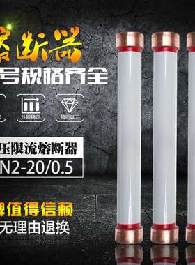 RN4-20KV RN2-20KV/0.5A   高压限流熔断器 410*55户内高压熔断器