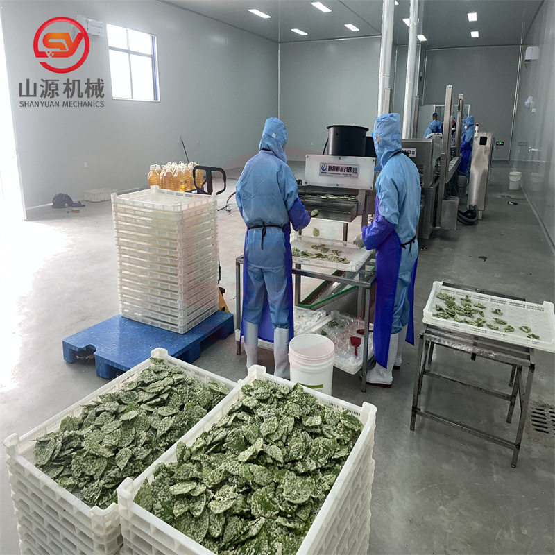 油炸海苔片的机器 天妇罗南瓜片油炸机 香酥翠叶上浆油炸设备