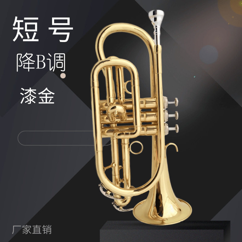 厂家销售铜管吹奏哈麦伦短号乐器降B调小号乐器金色短号表面漆金