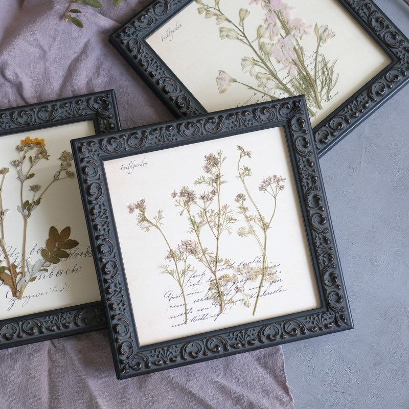 实木相框植物标本装饰画 欧式美式乡村实木复古怀旧照片墙组合,家居饰品,标本类装饰画,淘宝优惠券,粉丝福利购,淘宝优惠卷