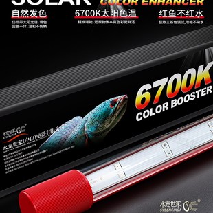 鱼缸灯雷龙鱼灯吉罗灯日光发色灯LED鱼缸灯金鱼自然增艳增色