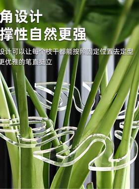 跨境热销园艺植物生长支撑架亚克力绿植龟背竹根茎固定支架支撑环