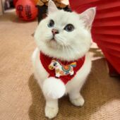 宠物新年猫咪围脖红色针织狗狗围巾春节喜庆装 饰配件脖圈2026新款