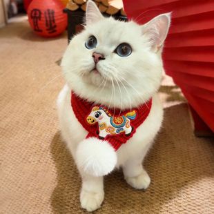 宠物新年猫咪围脖红色针织狗狗围巾春节喜庆装饰配件脖圈2026新款