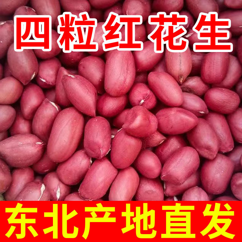 2025年新货红皮花生米5斤装原味四粒红生花生不带壳红皮花生散装
