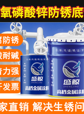 环氧磷酸锌底漆灰色环氧富锌防腐底E漆环氧云铁中间漆面钢结构底