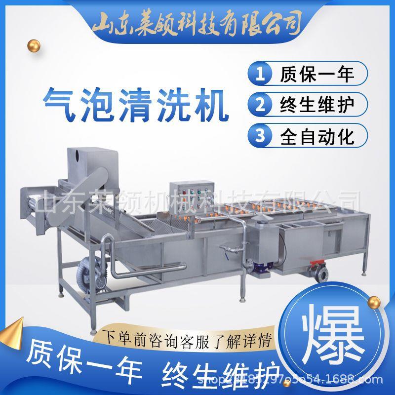 火腿肠清洗设备鼓泡喷淋韭菜苔气泡洗菜机冬笋高压喷淋气泡清洗机