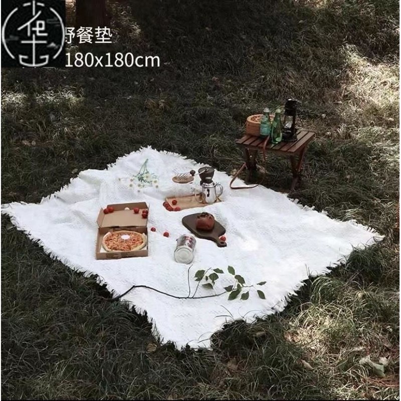露营野餐垫ins拍照野餐布防潮加厚帐篷地垫子 CamKping picnic ma